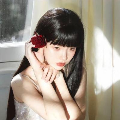 小小间谍:博客战争